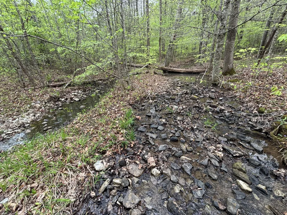 367 Leggett Road Sale Creek, TN 37373