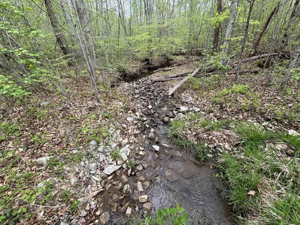 367 Leggett Road Sale Creek, TN 37373