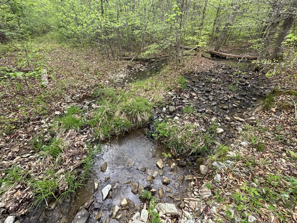 367 Leggett Road Sale Creek, TN 37373