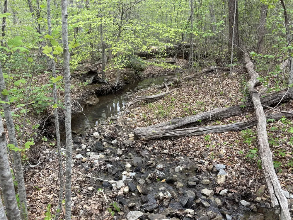 367 Leggett Road Sale Creek, TN 37373