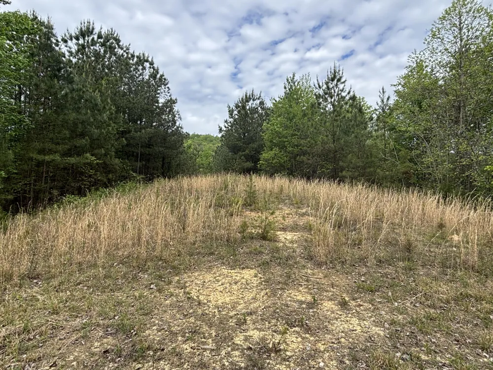 367 Leggett Road Sale Creek, TN 37373