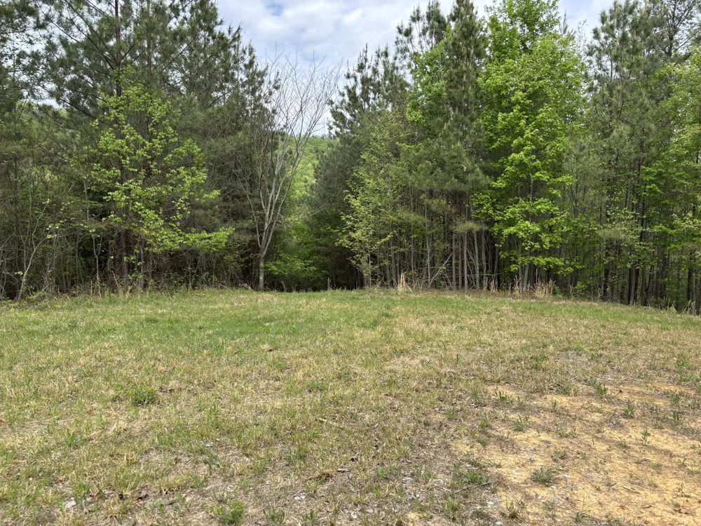 367 Leggett Road Sale Creek, TN 37373