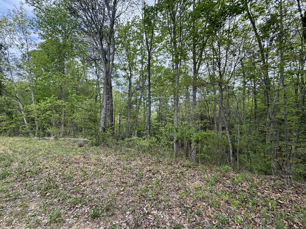 367 Leggett Road Sale Creek, TN 37373