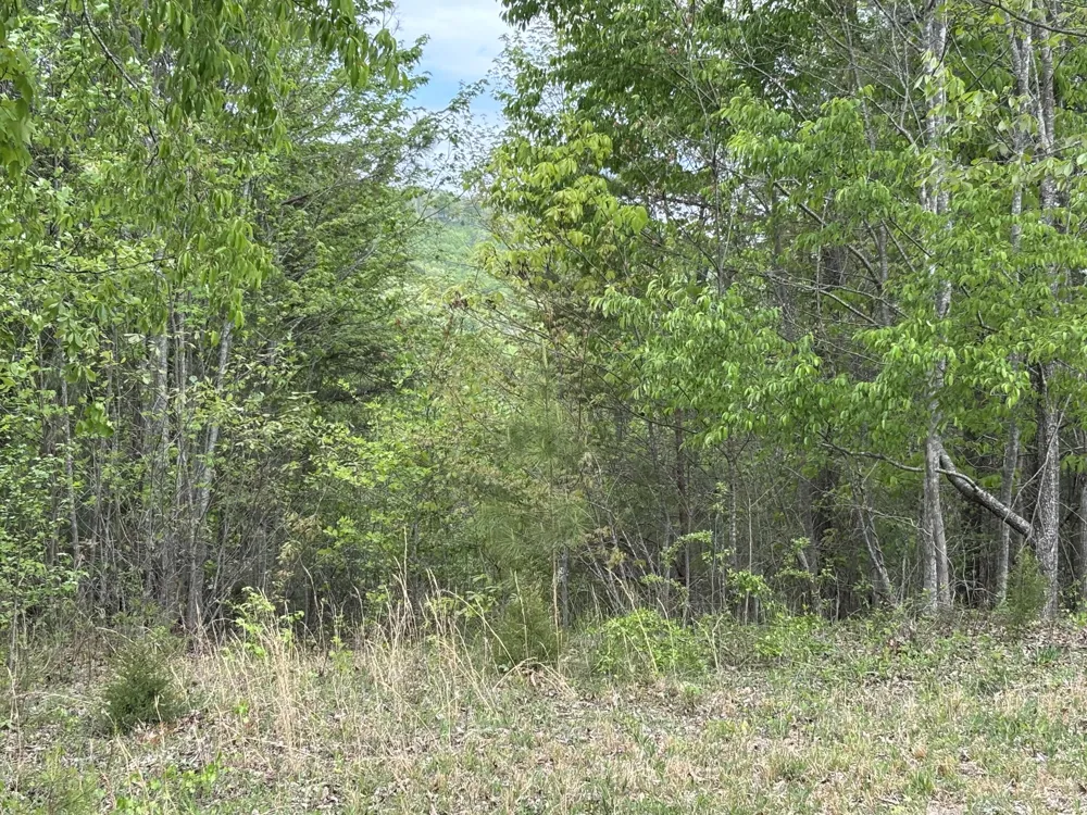 367 Leggett Road Sale Creek, TN 37373