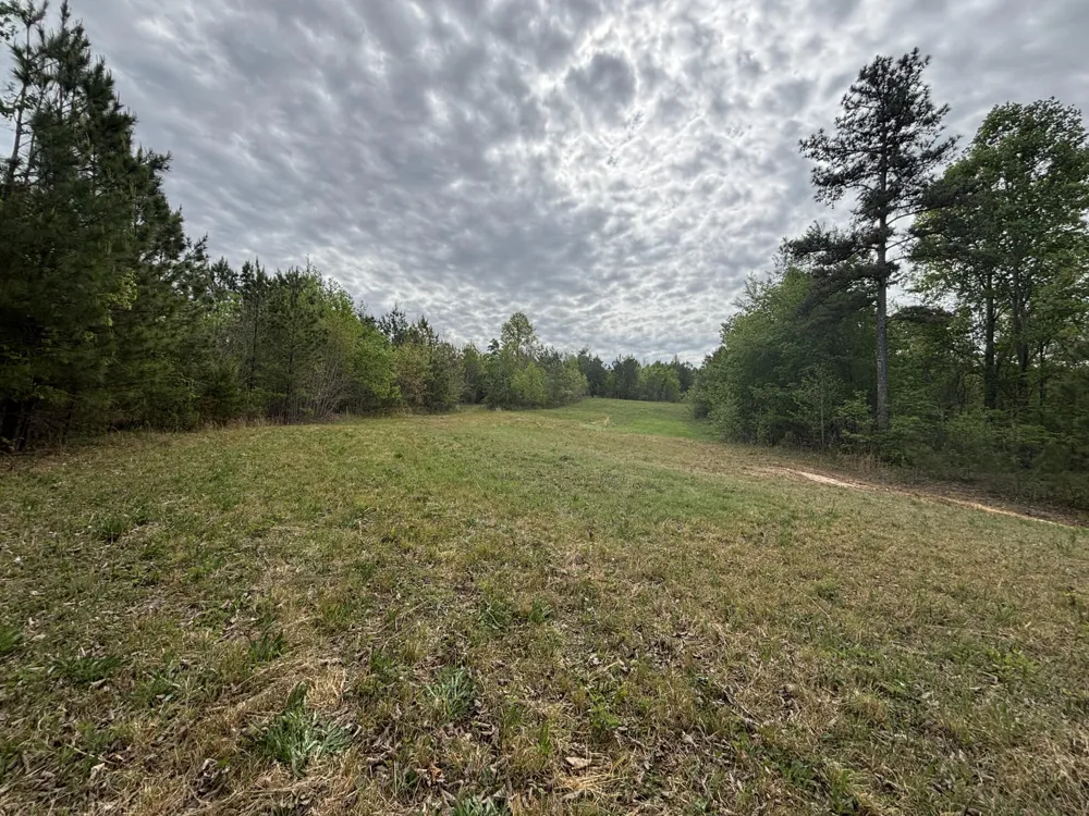 367 Leggett Road Sale Creek, TN 37373