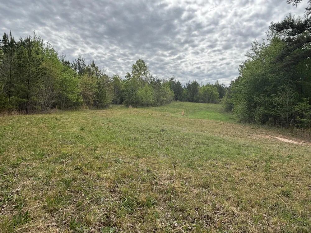 367 Leggett Road Sale Creek, TN 37373
