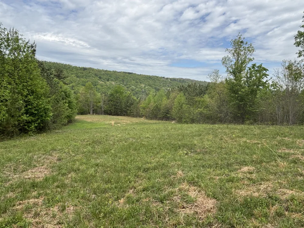 367 Leggett Road Sale Creek, TN 37373