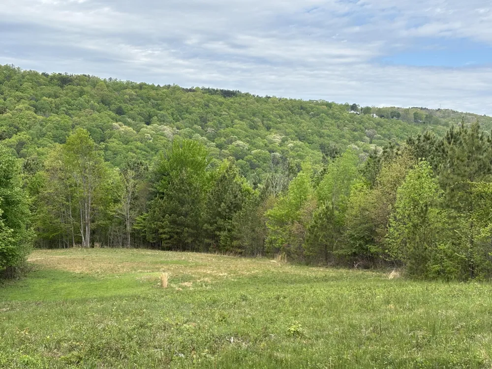 367 Leggett Road Sale Creek, TN 37373