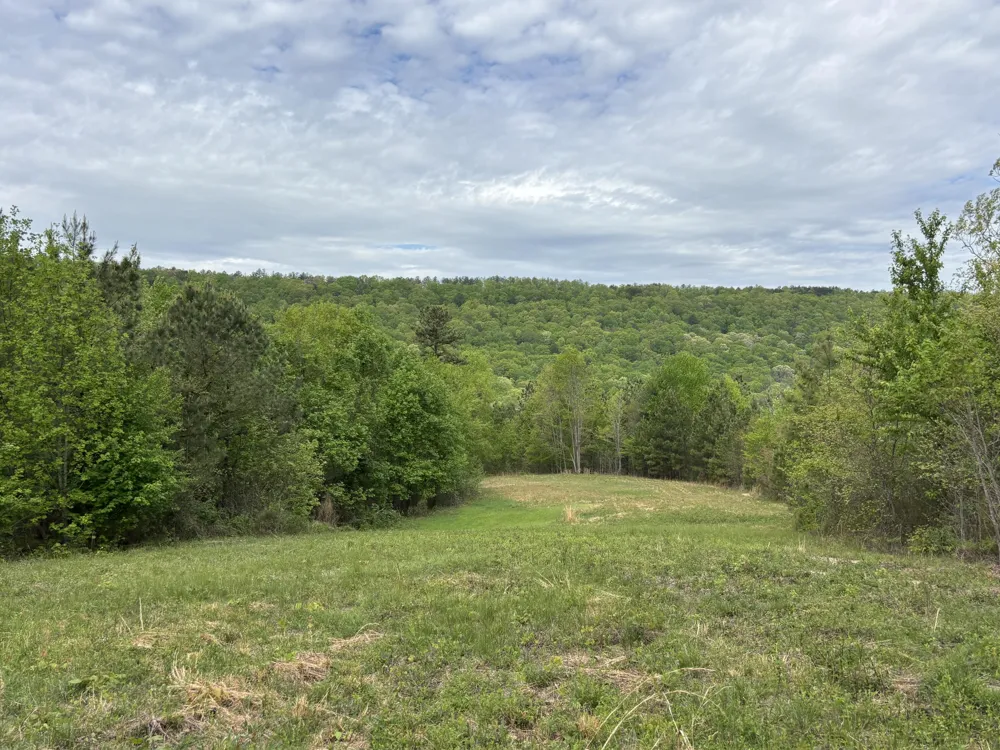367 Leggett Road Sale Creek, TN 37373