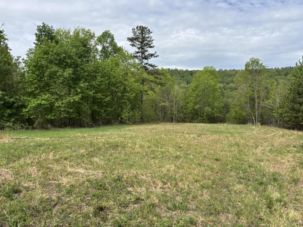367 Leggett Road Sale Creek, TN 37373