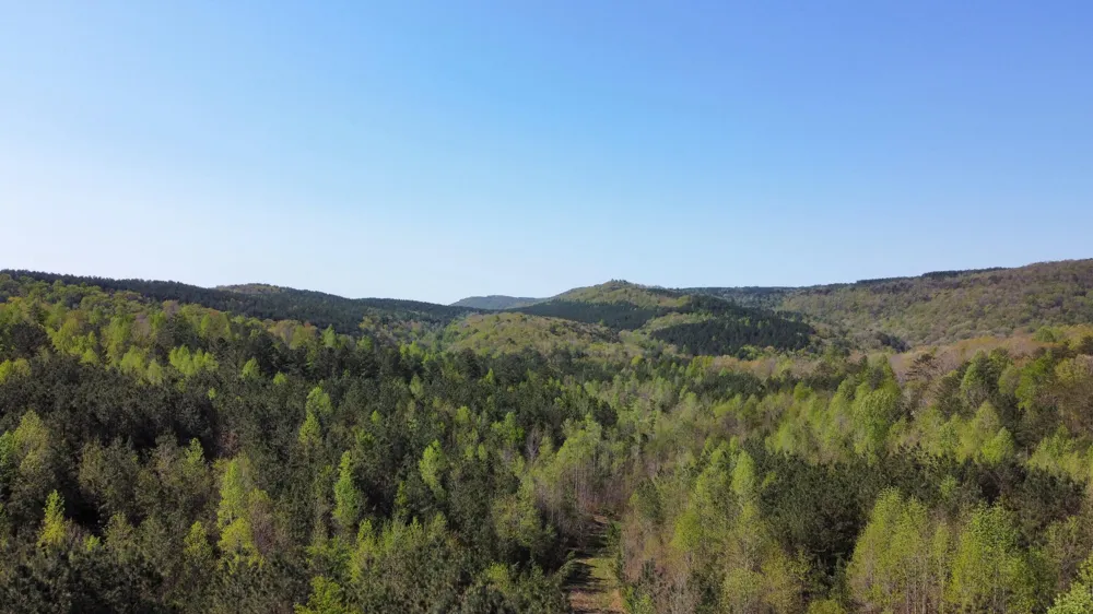 367 Leggett Road Sale Creek, TN 37373
