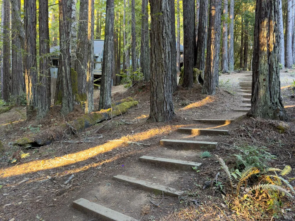 294 Redwood Rise The Sea Ranch, CA 95497
