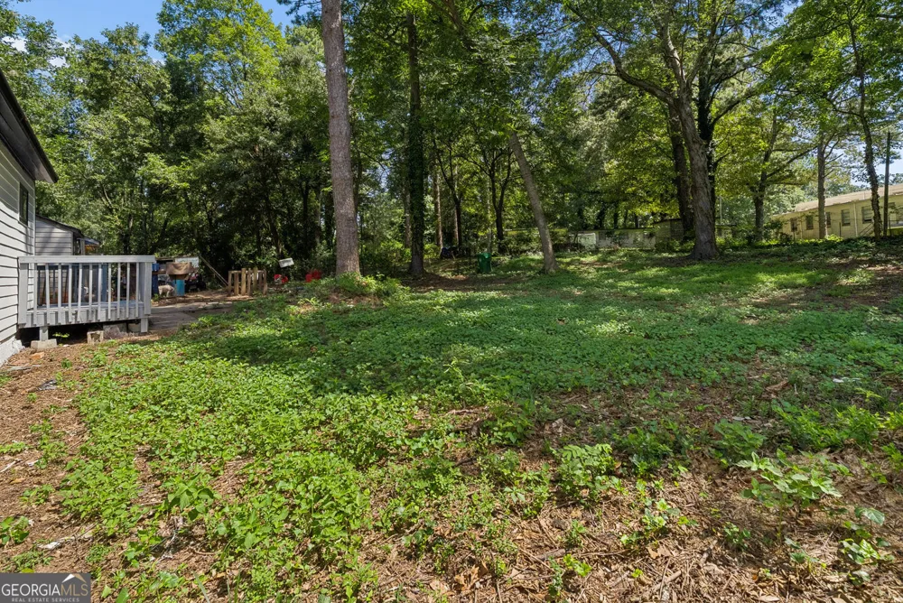 1790 Elaine DR Decatur, GA 30035