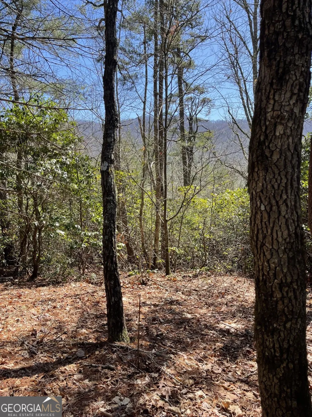 0 Chesada LN Blairsville, GA 30512