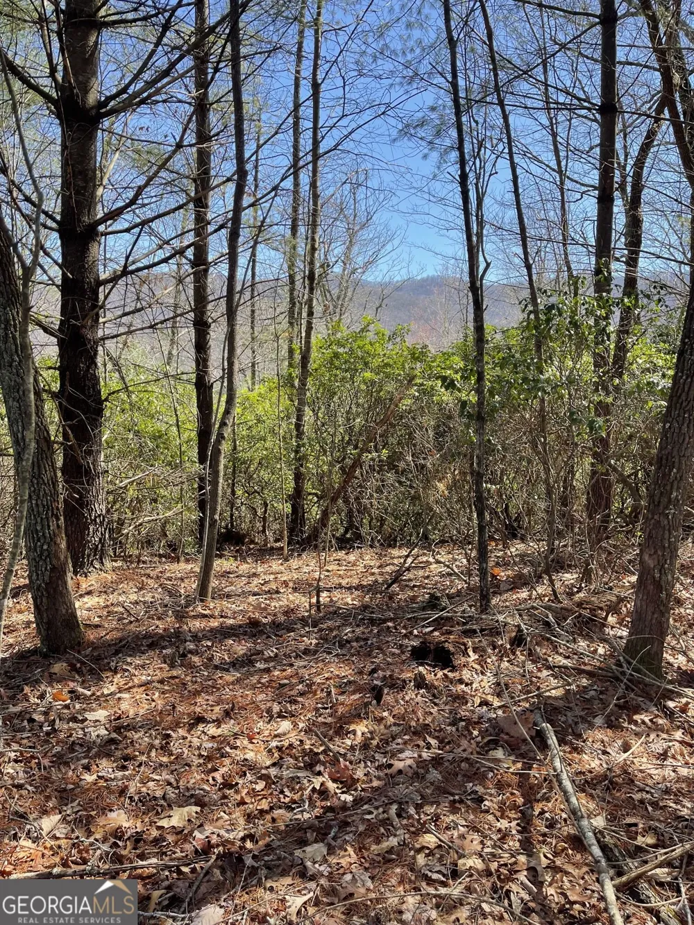 0 Chesada LN Blairsville, GA 30512