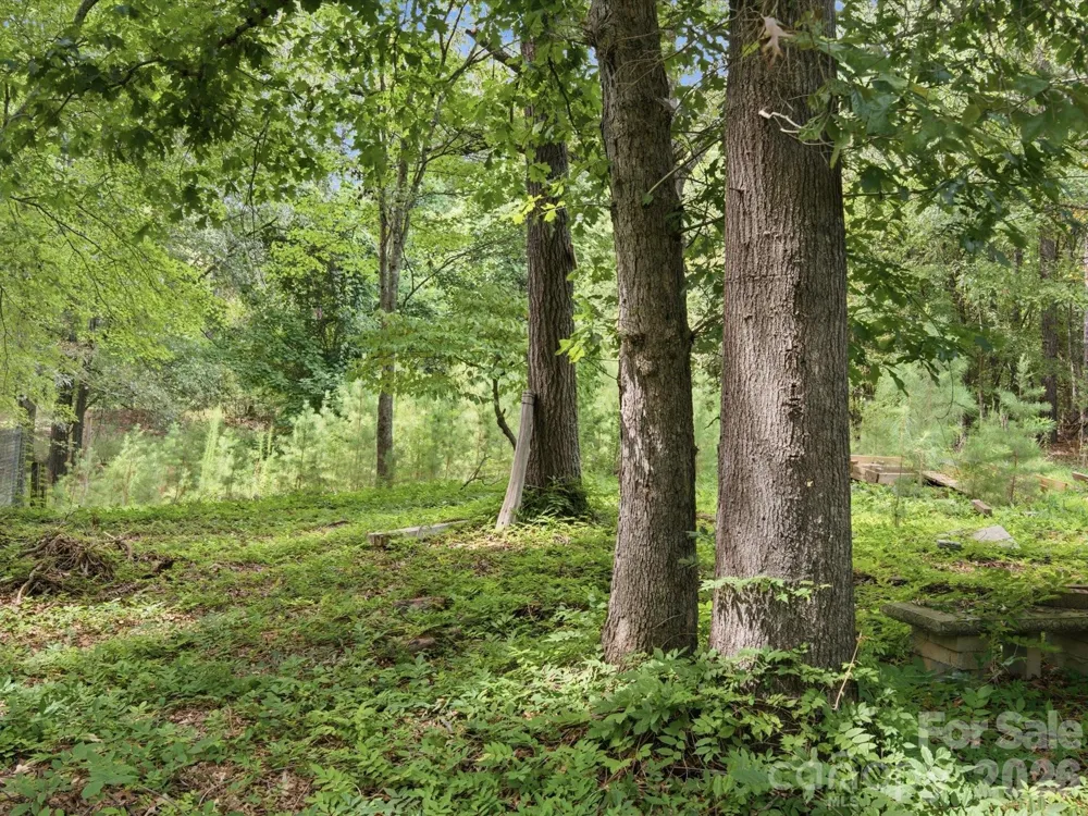 2625/2655 Pleasant Road Fort Mill, SC 29715