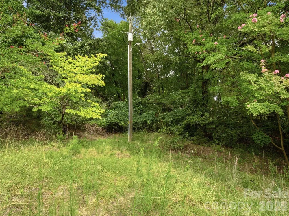 2625/2655 Pleasant Road Fort Mill, SC 29715