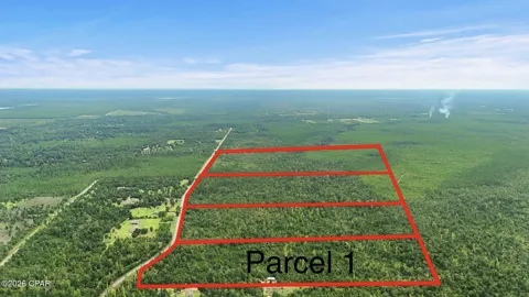 Blue Springs Road #Parcel 1