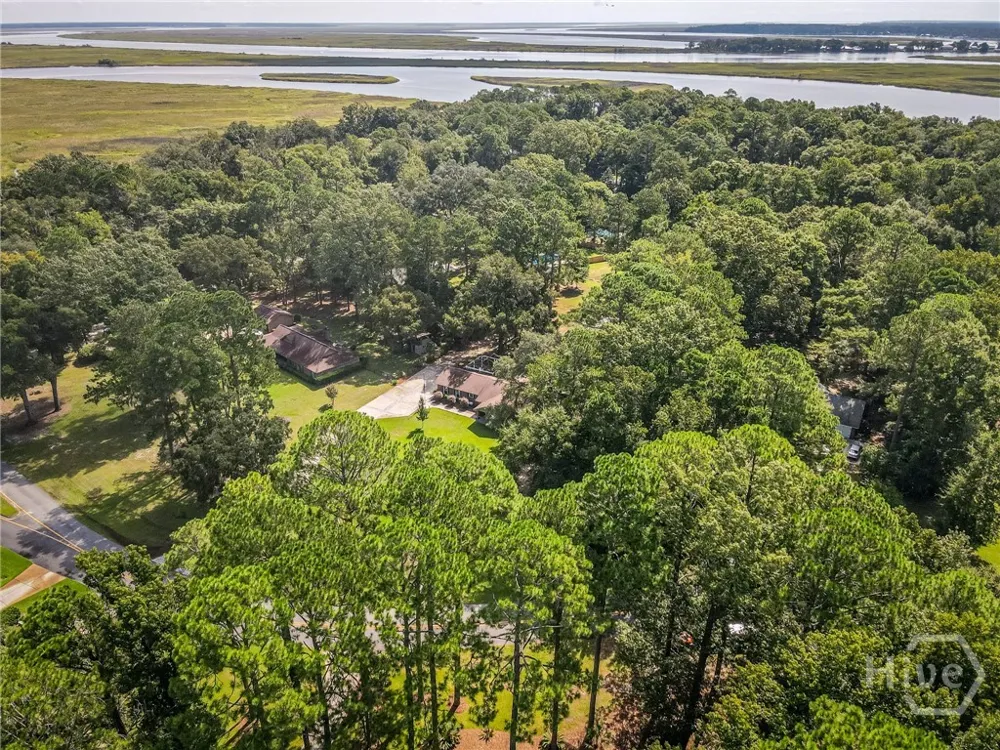 63 Mill Run Road Richmond Hill, GA 31324