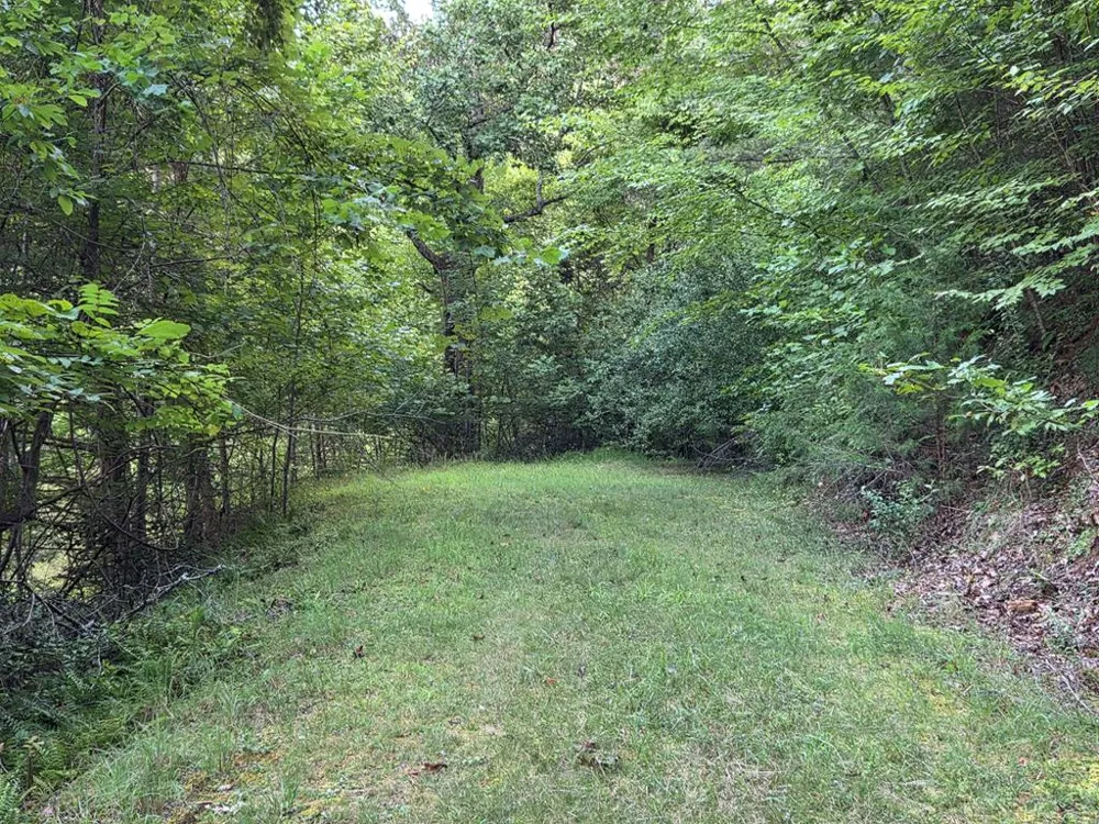 Brookstone Mtn. Trail Franklin, NC 28734
