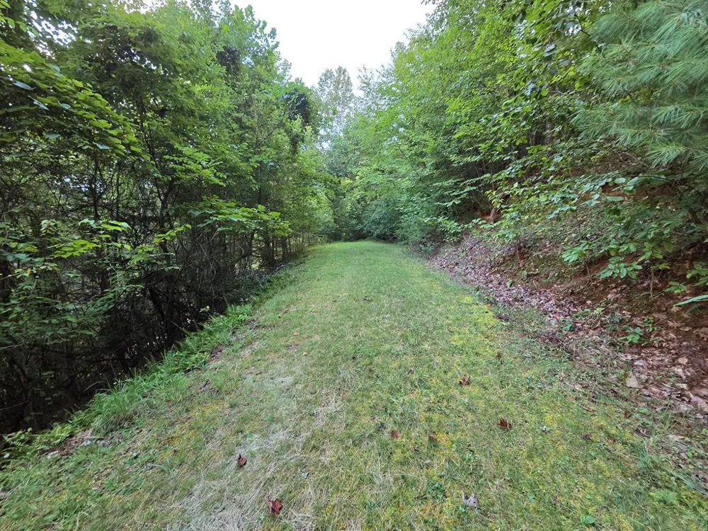 Brookstone Mtn. Trail Franklin, NC 28734