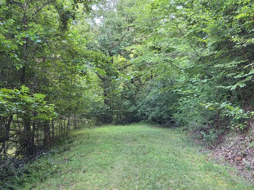 Brookstone Mtn. Trail Franklin, NC 28734