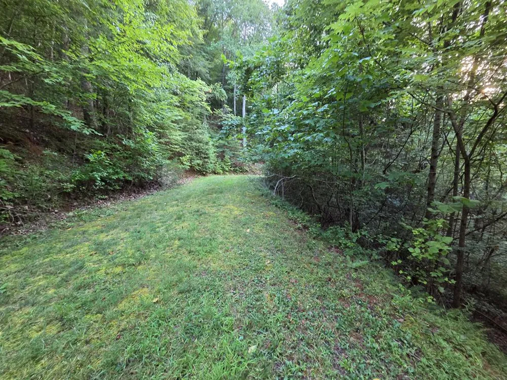 Brookstone Mtn. Trail Franklin, NC 28734