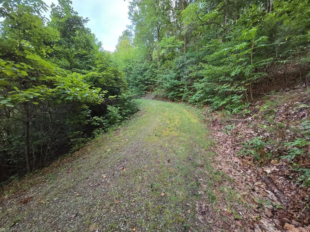 Brookstone Mtn. Trail Franklin, NC 28734