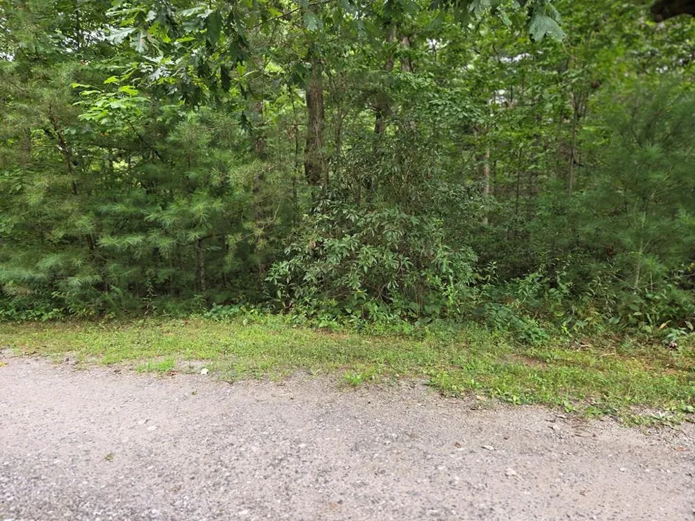 Park Ridge Road Franklin, NC 28734