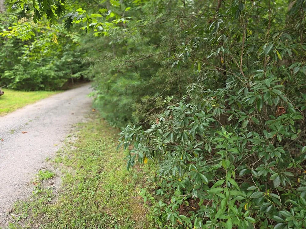 Park Ridge Road Franklin, NC 28734