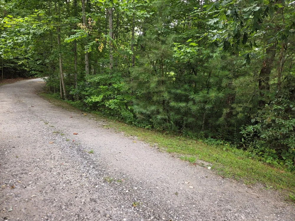 Park Ridge Road Franklin, NC 28734