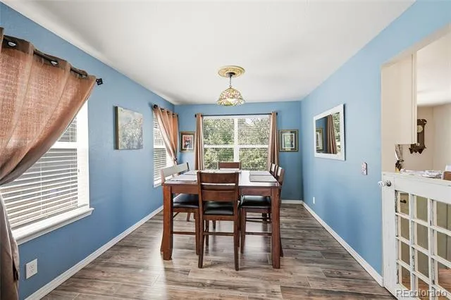 3671 Sunridge Terrace Drive Castle Rock, CO 80109