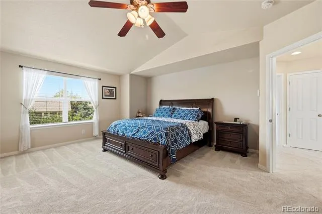 3671 Sunridge Terrace Drive Castle Rock, CO 80109