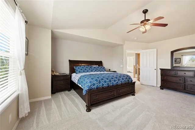 3671 Sunridge Terrace Drive Castle Rock, CO 80109