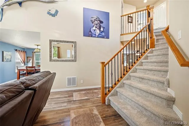3671 Sunridge Terrace Drive Castle Rock, CO 80109