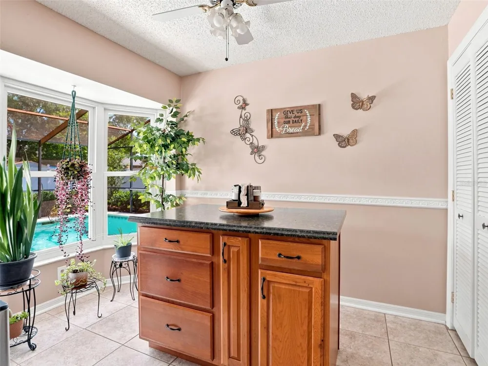 4382 MONTANO AVENUE Spring Hill, FL 34609
