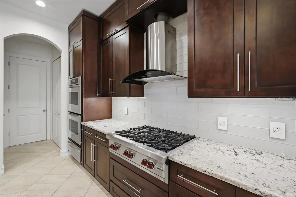 1465 HILLSIDE LANDING DRIVE Tarpon Springs, FL 34688