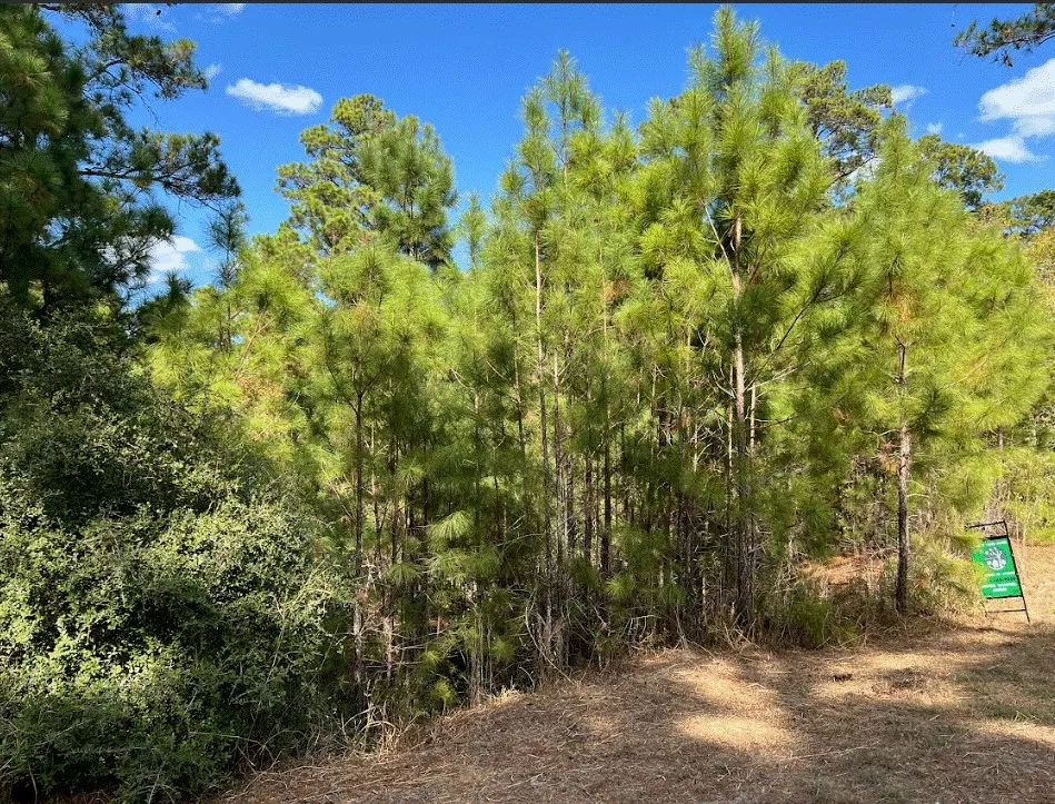986 Kailua L Lane Bastrop, TX 78602