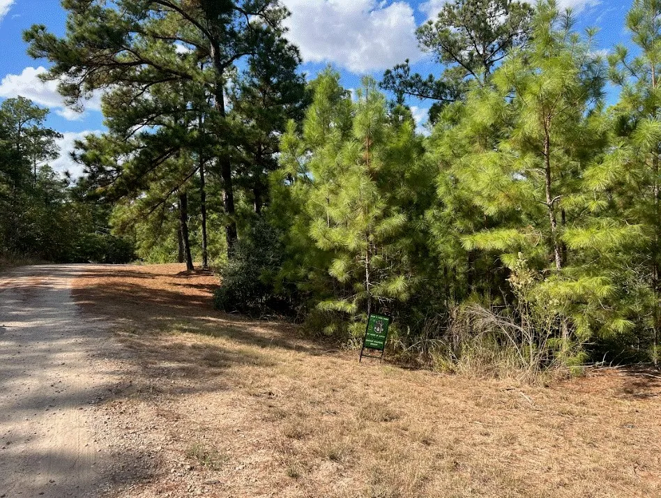 986 Kailua L Lane Bastrop, TX 78602