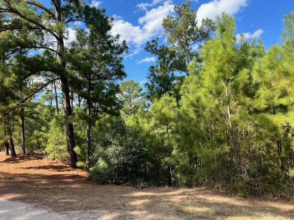 986 Kailua L Lane Bastrop, TX 78602