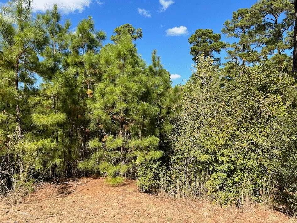 986 Kailua L Lane Bastrop, TX 78602