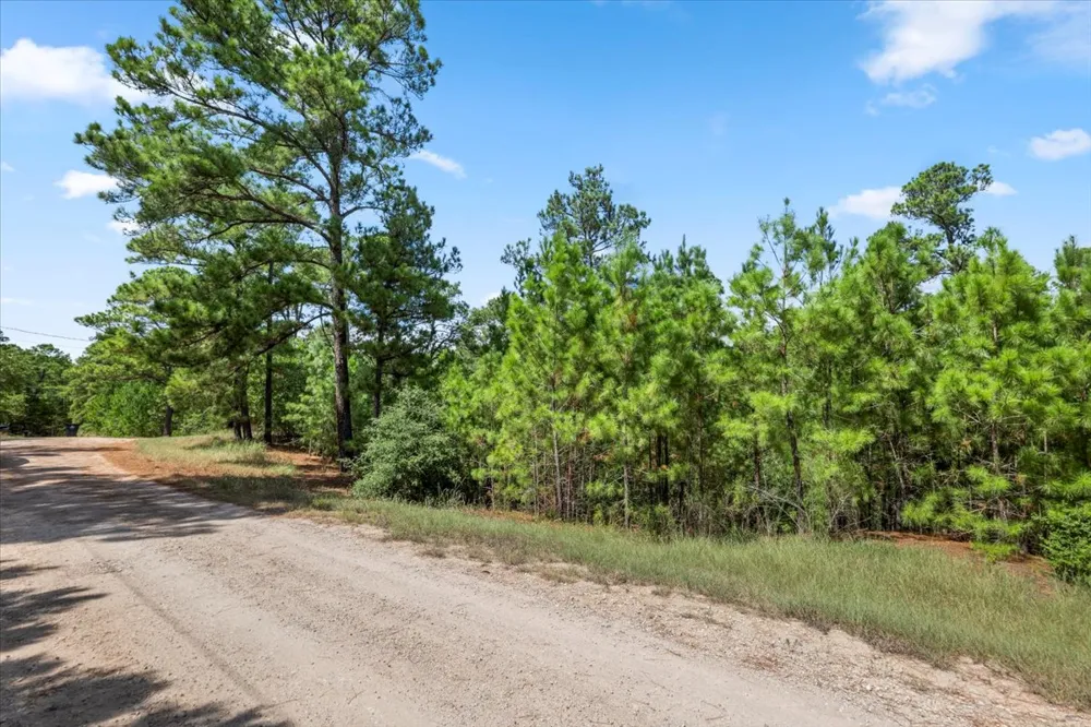 986 Kailua L Lane Bastrop, TX 78602