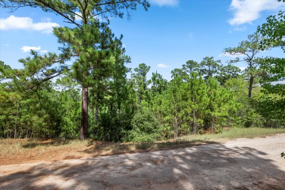 986 Kailua L Lane Bastrop, TX 78602