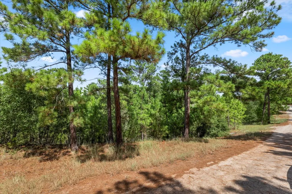 986 Kailua L Lane Bastrop, TX 78602