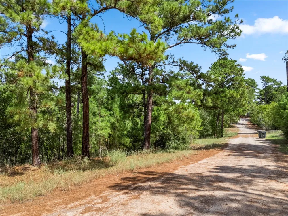 986 Kailua L Lane Bastrop, TX 78602