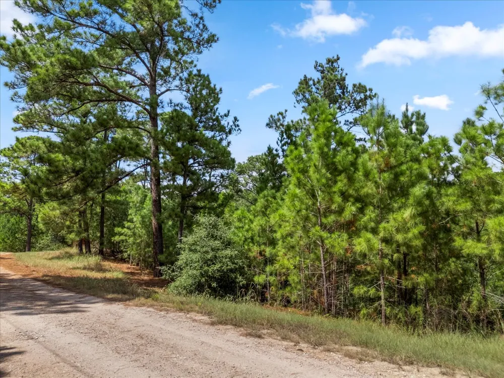 986 Kailua L Lane Bastrop, TX 78602
