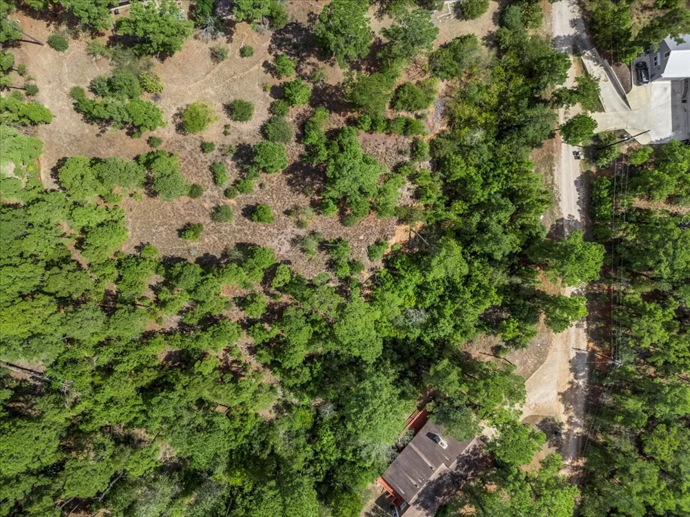 986 Kailua L Lane Bastrop, TX 78602