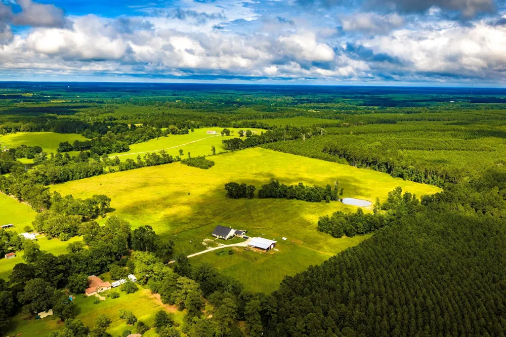 2654 Darden Road Livingston, TX 77351