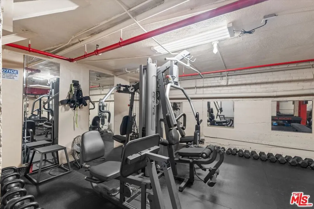 4125 S Figueroa Street #302 Los Angeles, CA 90037