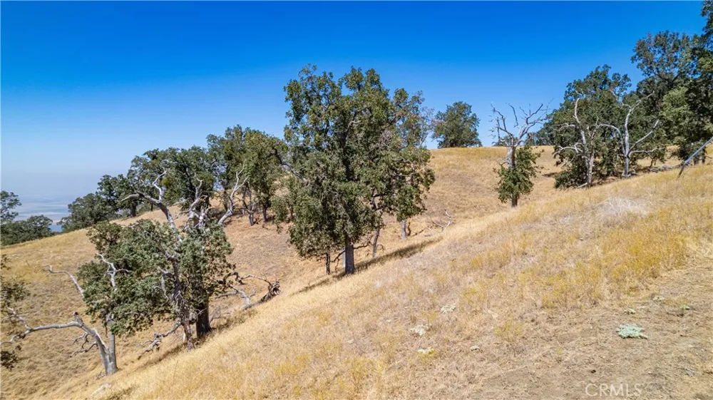 26201 Hazelwood Court Bear Valley Springs, CA 93561